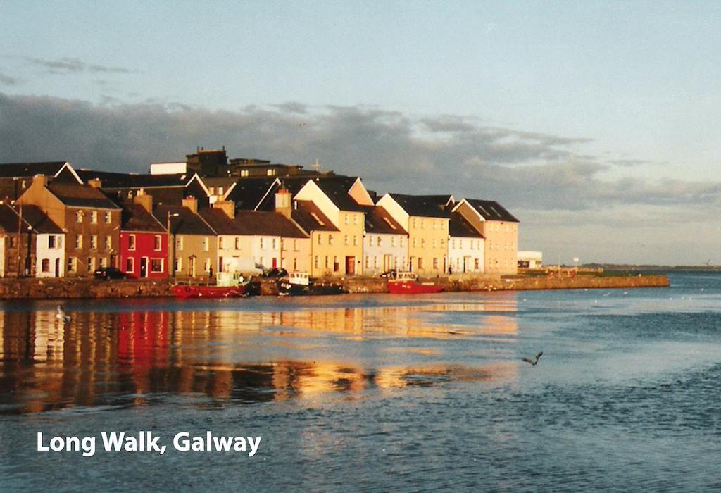Periwinkle Galway